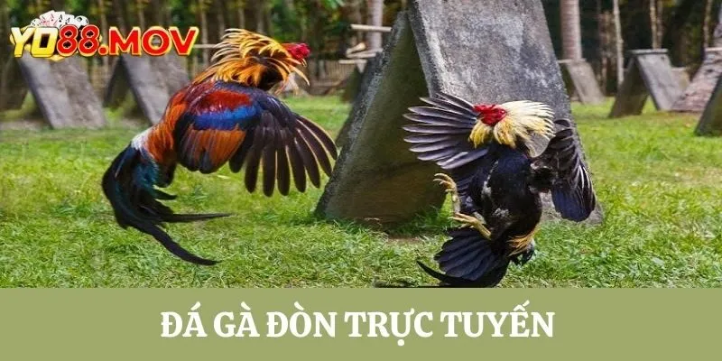 Đá Gà Đòn Trực Tuyến Sân Chơi Giải Trí Đầy Hấp Dẫn Và Thú Vị