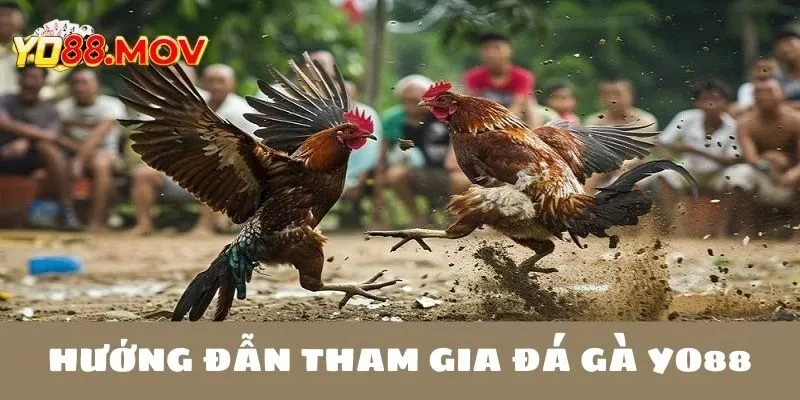 Tham gia đá gà tại Yo88 nhà cái siêu đơn giản 