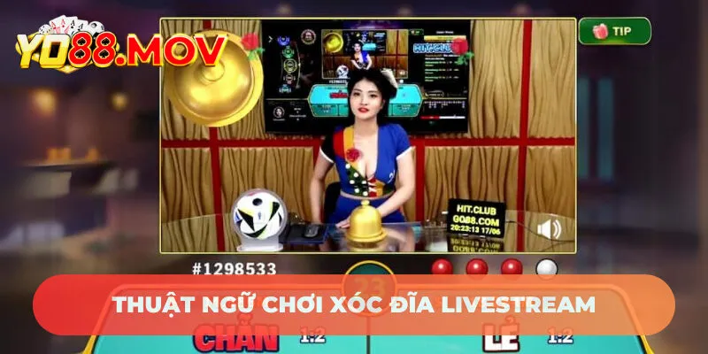 Thuật ngữ chơi xóc đĩa livestream cần nắm