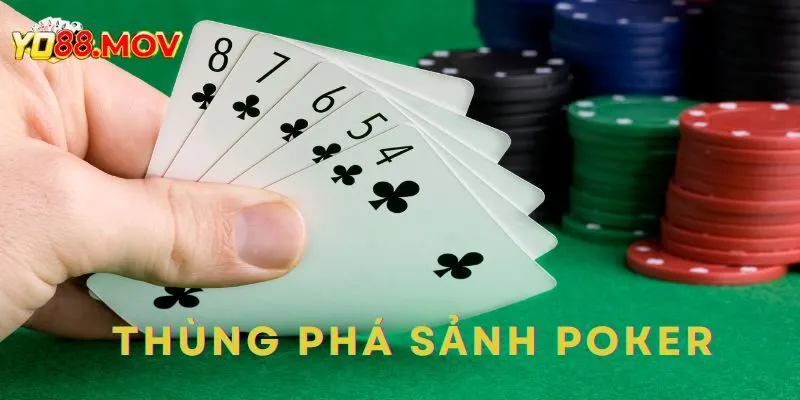 Thùng Phá Sảnh Poker Là Gì? Chiến Thuật Tính Thùng Phá Sảnh