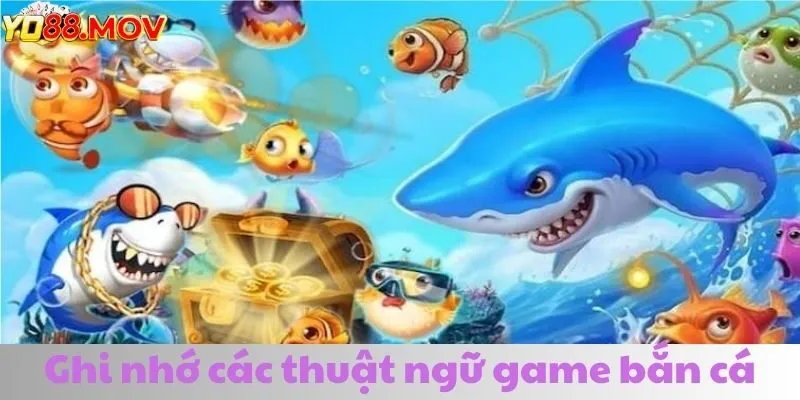 Trọn bộ thuật ngữ cần nắm khi tham gia vào thế giới đại dương ảo