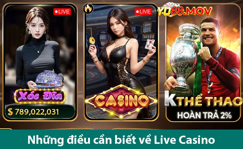 Live Casino yo88 - Điểm Đến Đáng Tin Cậy Giúp Bạn Kiếm Tiền Online Dễ Dàng