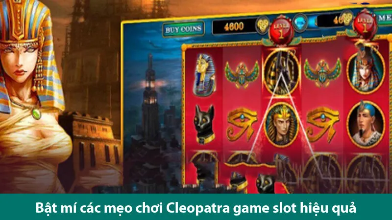 Khám phá game bí mật Cleopatra và các mẹo chơi hiệu quả